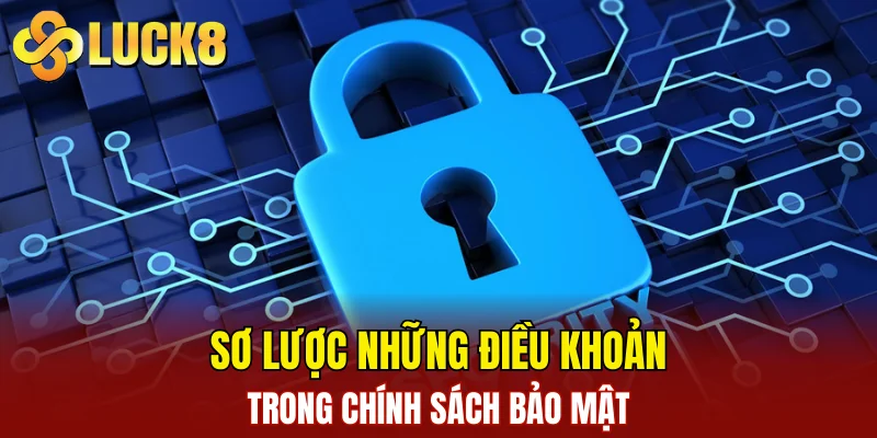 Sơ lược những điều khoản trong chính sách bảo mật